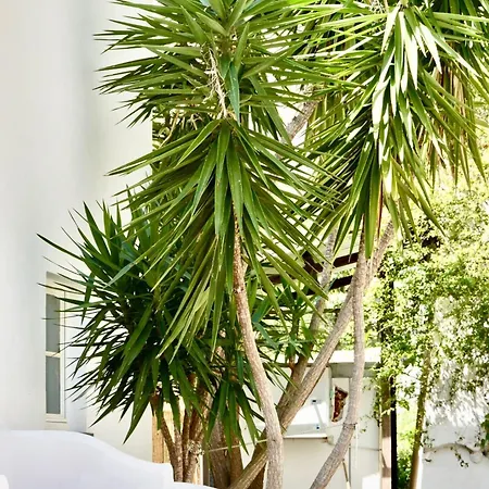 Cala Prodani * Σαβόνα