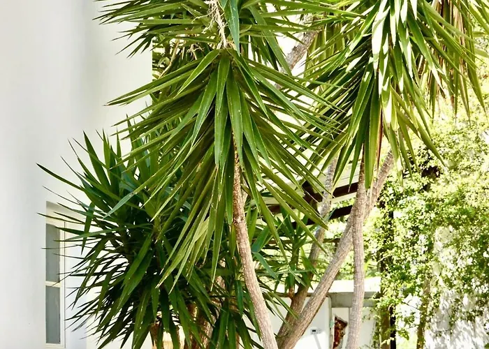 Cala Prodani * Σαβόνα